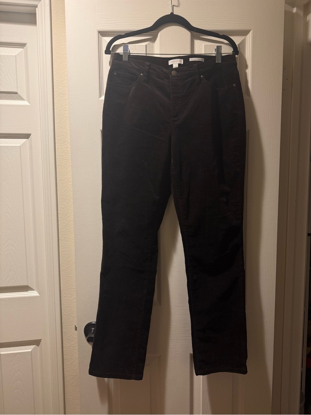 Charter Club Dark Brown Velvet Straight Leg Pants